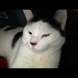 Meet your Posher, Ben